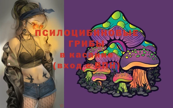 прущие крисы Алексин