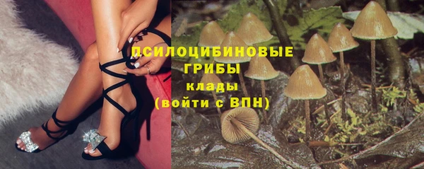 ALPHA PVP Алзамай