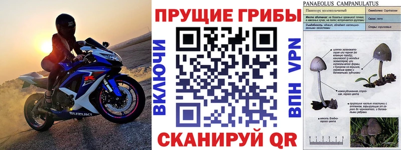 наркотики  Калачинск  Галлюциногенные грибы мухоморы 